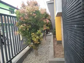 Rumah mewah hook dekat pusat oleh oleh Sokaraja Banyumas