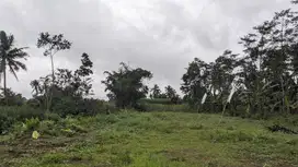 Tanah Luas SHM Malang, Lokasi Strategis Dekat UNIKAMA