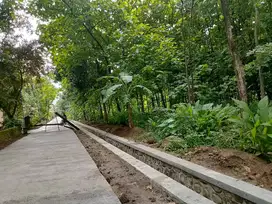 TANAH PEKARANGAN DEKAT PASAR GROGOL SAWOO