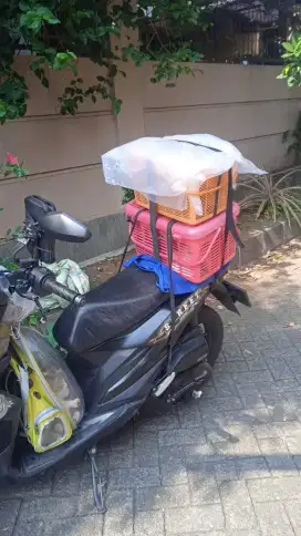 Trima jasa trnspet kucing dn antar jemput ank sekolh