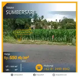 Lahan 5000 m Kampus Prospek Perumahan
