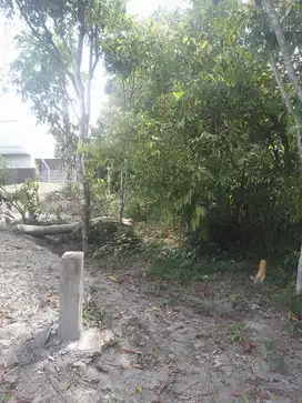 Jual Tanah Siap Bangun Kota Belitung di Pangkal Lalang