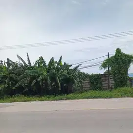 Dijual Tanah Zona industri Cikande 19 hektar 1,1 jt/m SHM