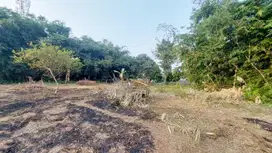 Lokasi Strategis Tanah Kavling 2 Jt an /m2