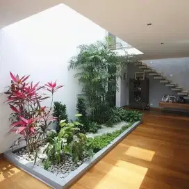 Jasa pembuatan taman kering taman pertikal dll #33