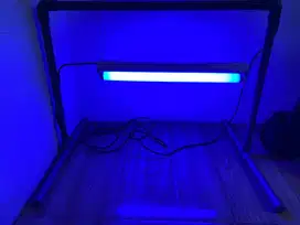 Lampu untuk sinar bayi kuning