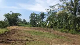 Tanah SHM Cocok Hunian – Nol Jalan, Sejuk dan Tenang Malang