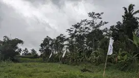 Tanah SHM Malang – Strategis, Aman, cocok untuk Hunian