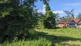 Tanah SHM Depan Jalan Malang – Cocok Rumah Tinggal Asri