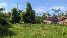Tanah SHM Malang – Lokasi Asri, Akses Mudah Nyaman untuk Hunian