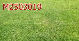Dijual Tanah Kavling Pakuwon City dkt Dharmahusada Manyar Sutorejo