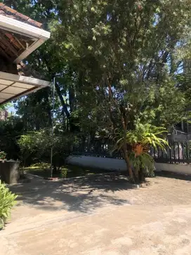 Dijual Rumah Untuk Ruang Usaha Strategis Imam Bonjol Dago