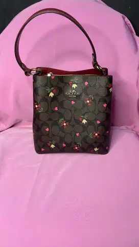 Coach Slingbag / Handled Bag