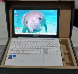 Laptop Asus E203M