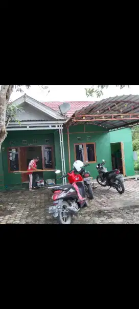 Dijual bisa nego