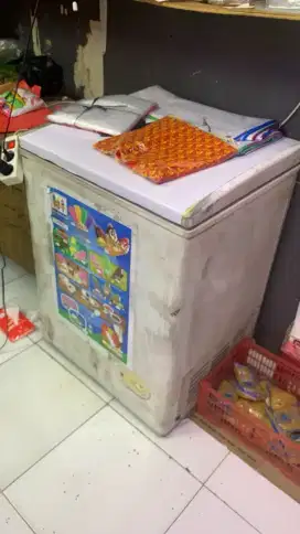 freezer 110L merk RSA