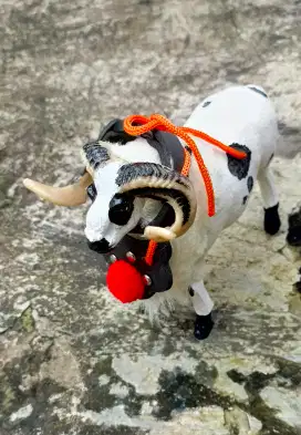 Miniatur domba garut terbaik