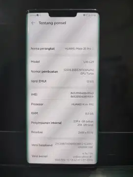 Huawei Mate 30pro 8/256