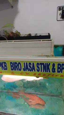 Biro jasa Stnk Bpkb CV shafira 2