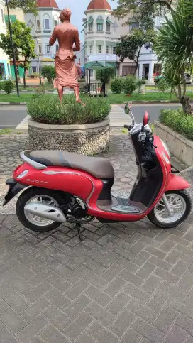 Scoopy stylish 2022 (kondisi istimewa)