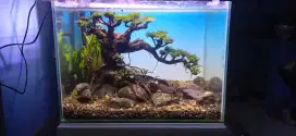 Jual aquascape fullset