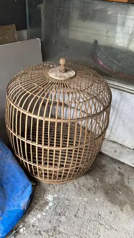 Kandang ayam sebanyak 5 dan alat penghangat