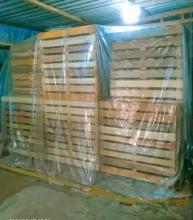 PALLET KAYU BARU