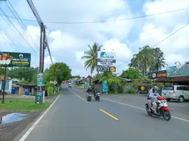 Tanah Pakem Sleman: View Sawah Lingkungan Asri