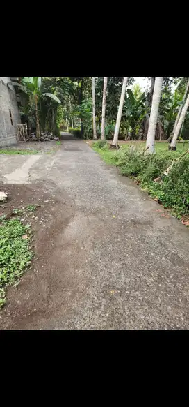 JUAL TANAH DI BUMIREJO LENDAH KULONPROGO