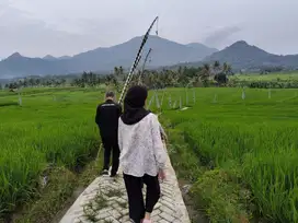 Tanah Kavling Pinggir Jalan Bisa Bangun Akses Terjangkau, di Bogor