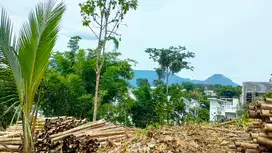 Tanah SHM Siap Bangun 7 Menit dari UIN Dan UB