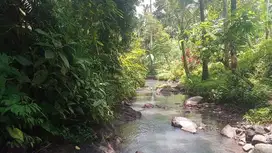 Dijual tanah kebun view sawah dan los sungai di tabanan bali