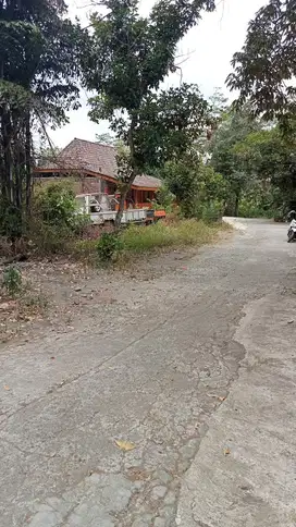 pekarangan Sardonoharjo harga di bawah standar