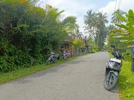 TANAH JLN TEMPEL TURI  SOKO WETAN