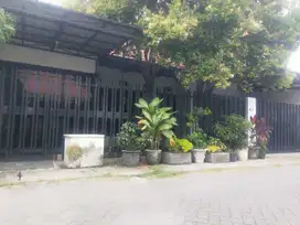 Rumah Harga Murah Meriah di tengah kota, Manyar Adi, Surabaya