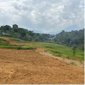 Tanah murah private cisarua puncak bogor