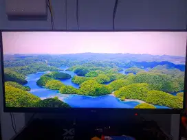 Monitor lg 29WP500-B