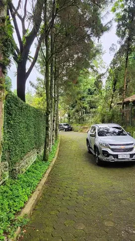 Villa berkontur di Mega Mendung turun harga dibawah NJOP