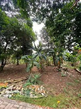 DIJUAL TANAH DEPOK BELAKANG UNIVERSITAS INDONESIA
