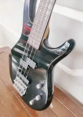 BASS CORT ACTION