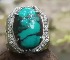 Pirus Persia Hijau Toska