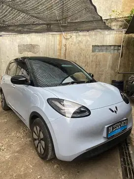 Wuling Binguo Ev (2024)