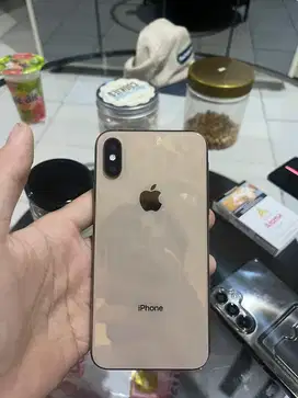 Iphone xs 64gb mulus