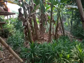 Tanah di jual  cepat