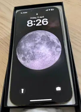 IPhone 13 Promax 128 inter beacukai