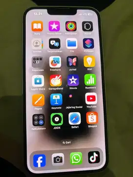 Iphone 13 i box
