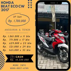 BEAT SPORTY ECO 2017