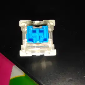 Mechanical Keyboard Outemu Blue Switch 2 Pin 61 Pcs
