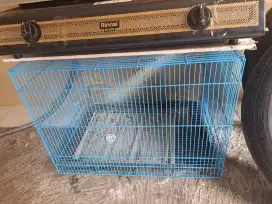 Aquarium dan kandang kucing