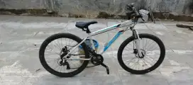 Sepeda Polygon Monarch 4